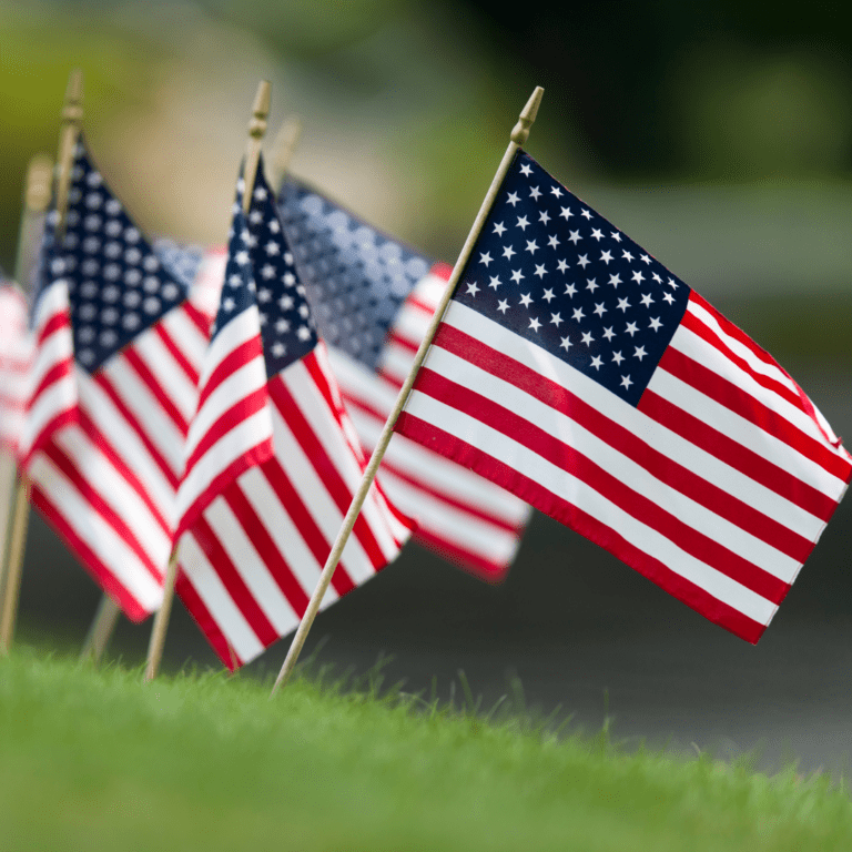 Statesman Flags-Veterans Day